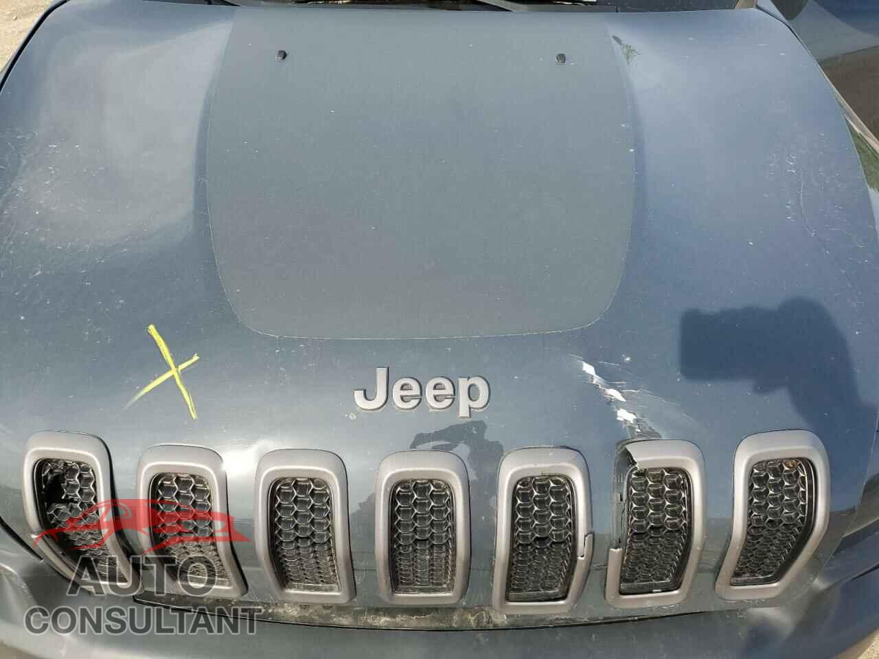 JEEP CHEROKEE 2016 - 1C4PJMBS8GW319123