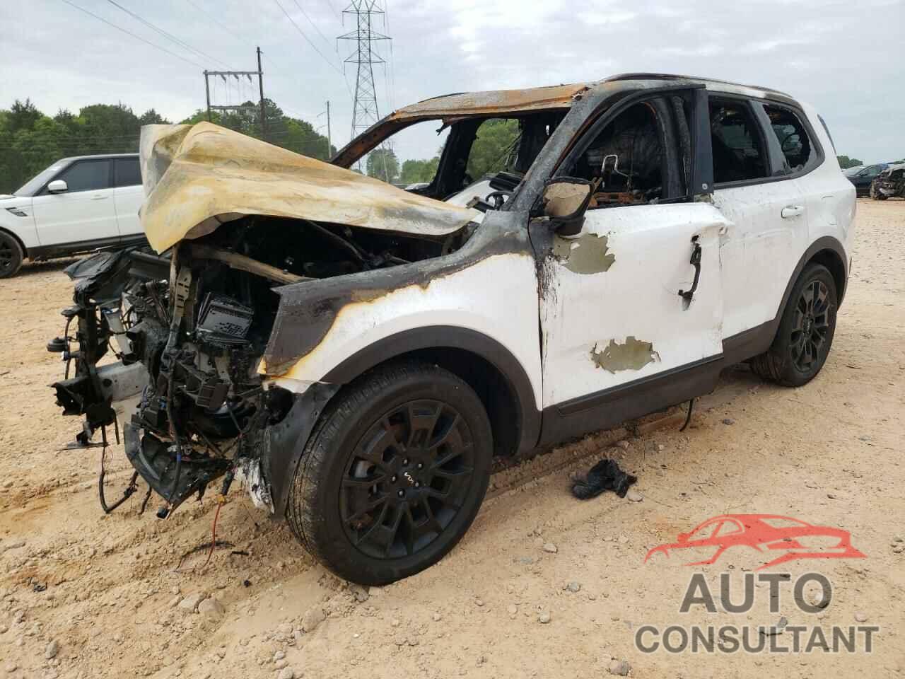 KIA TELLURIDE 2022 - 5XYP3DHC0NG324580
