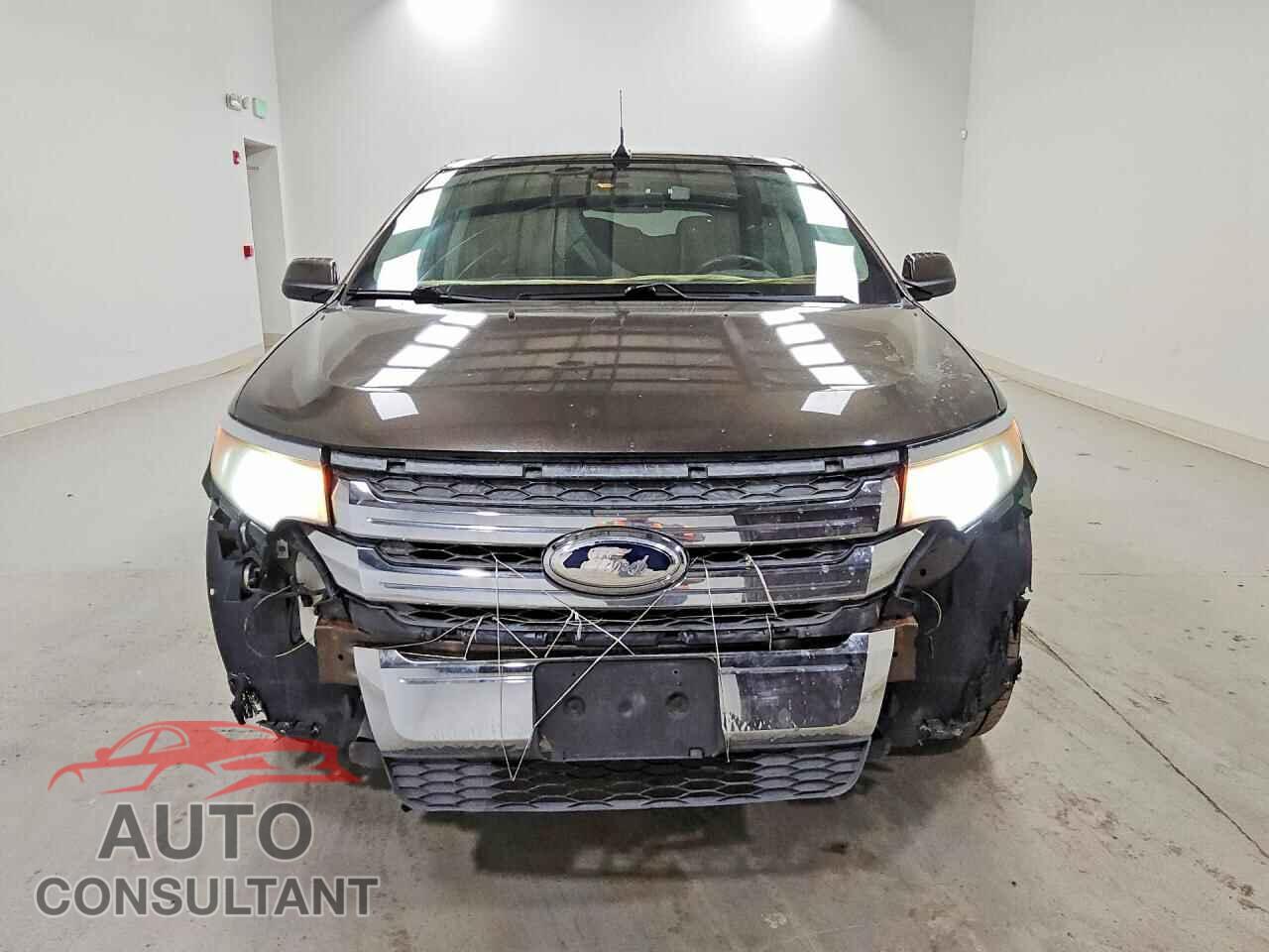 FORD EDGE 2011 - 2FMDK4JC1BBA95113