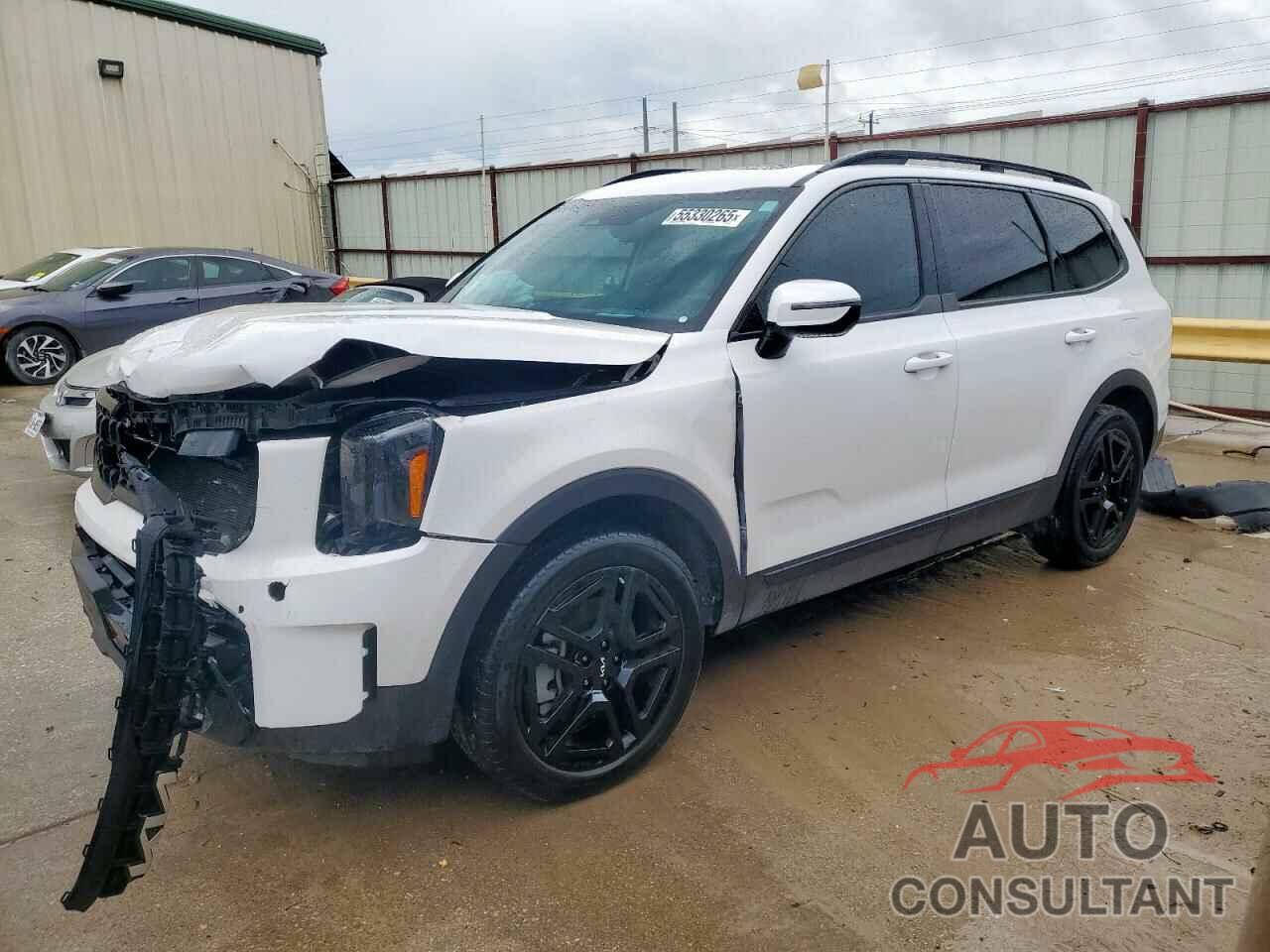KIA TELLURIDE 2024 - 5XYP5DGC8RG416764