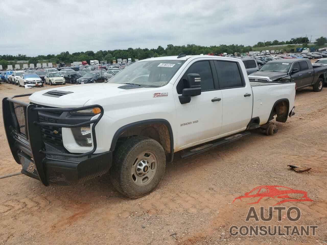 CHEVROLET ALL Models 2021 - 1GC1YLE76MF288761