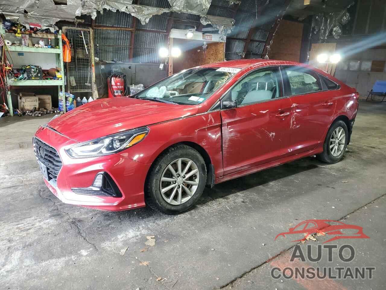 HYUNDAI SONATA 2019 - 5NPE24AF5KH798124