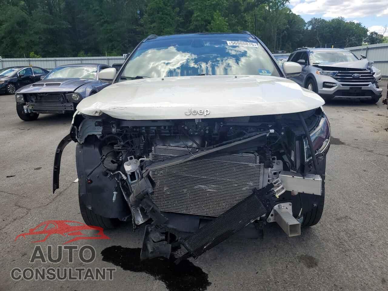 JEEP COMPASS 2020 - 3C4NJDCBXLT252207
