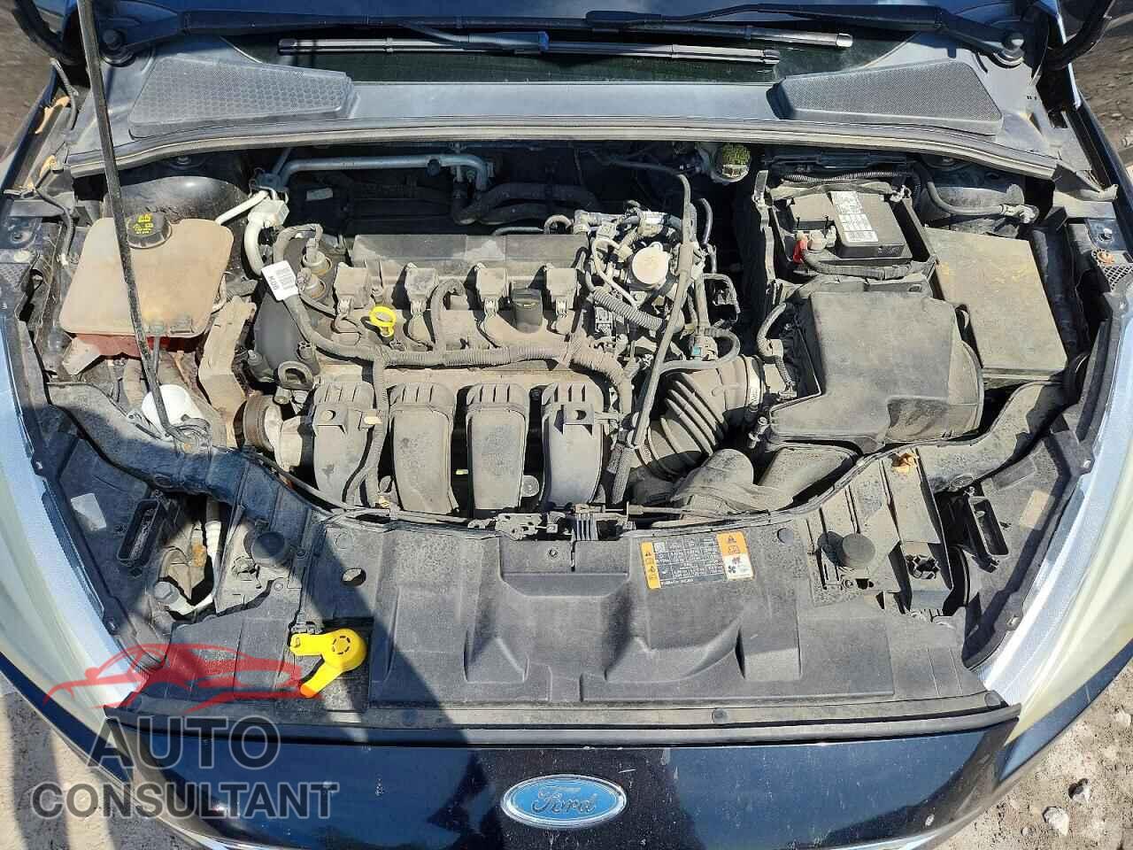 FORD FOCUS 2016 - 1FADP3E2XGL336844