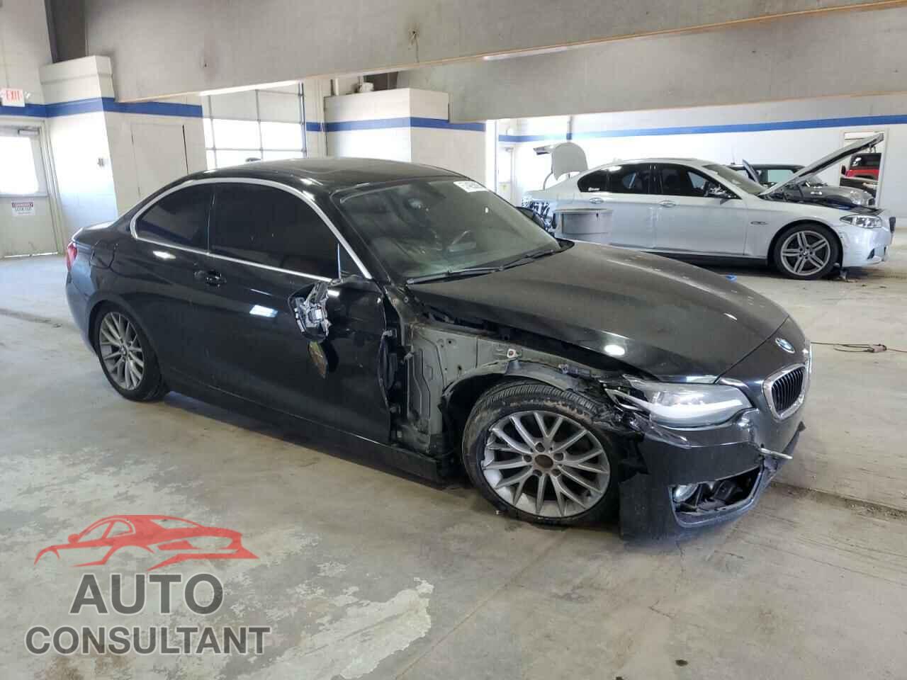 BMW 2 SERIES 2014 - WBA1F5C52EVV99367