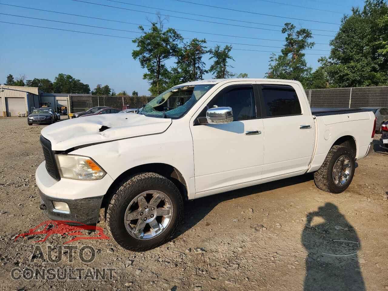 DODGE RAM 1500 2011 - 1D7RV1CT1BS518345