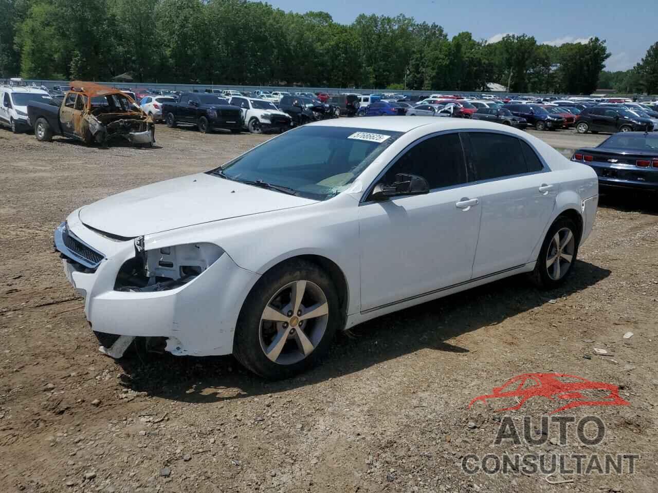 CHEVROLET MALIBU 2011 - 1G1ZC5E13BF387181
