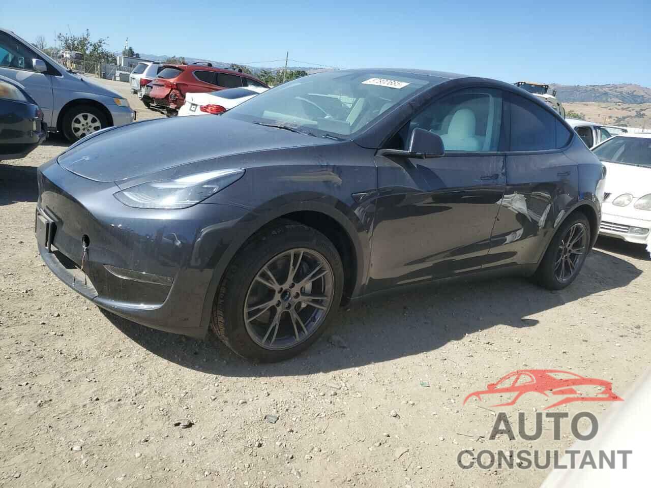 TESLA MODEL Y 2025 - 7SAYGDED2SF319036