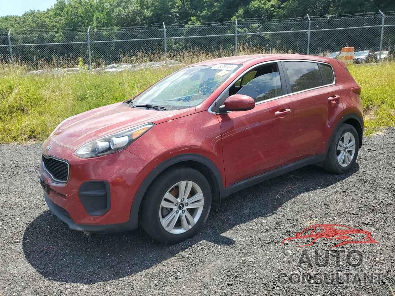 KIA SPORTAGE 2017 - KNDPM3AC8H7178643