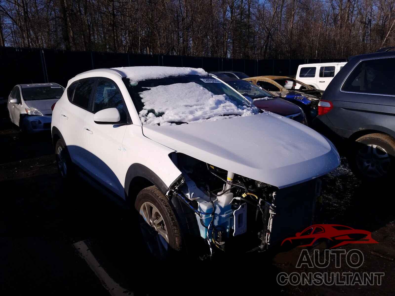 HYUNDAI TUCSON 2018 - KM8J33A49JU612203