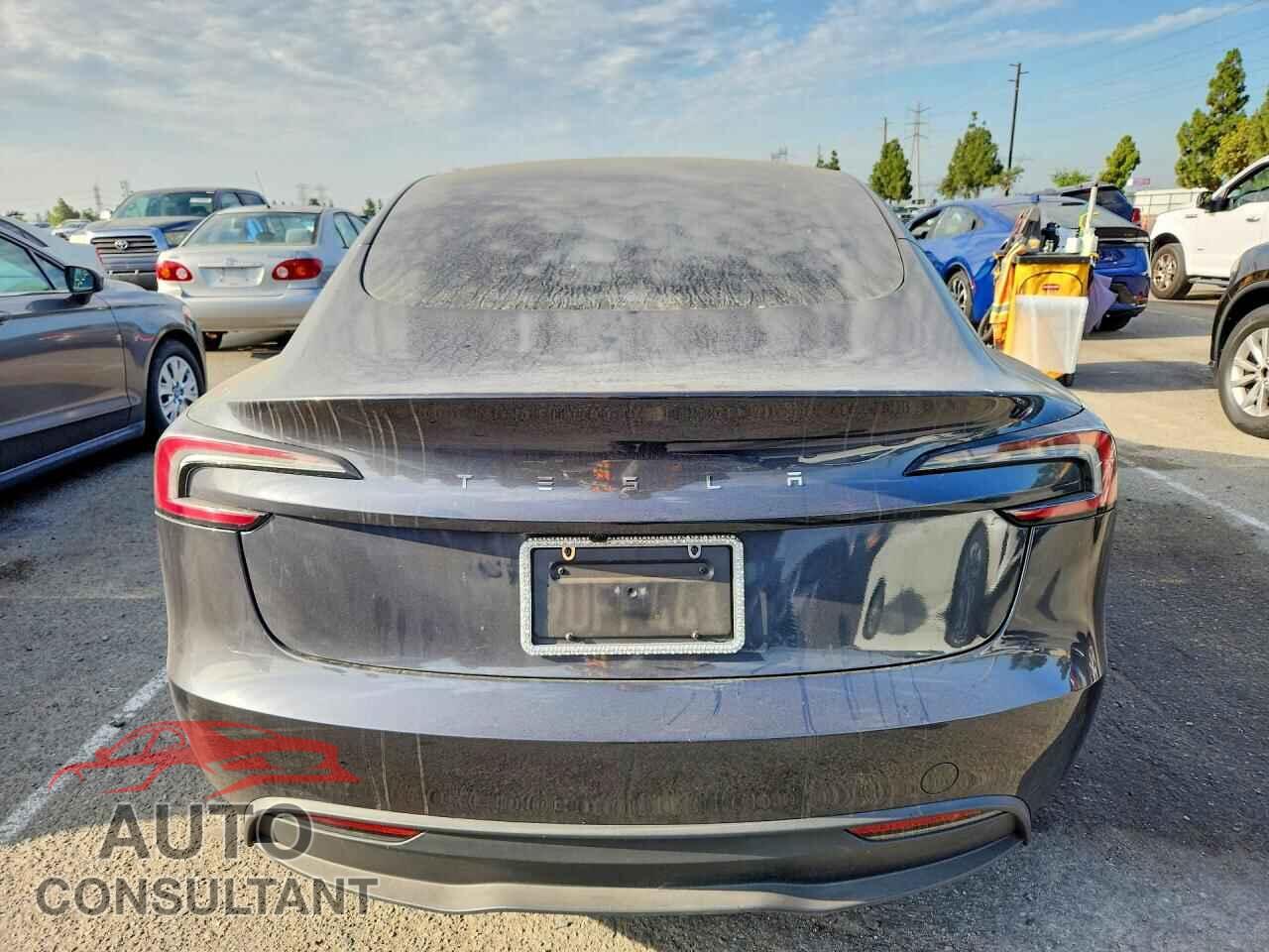 TESLA MODEL 3 2025 - 5YJ3E1EAXSF044260