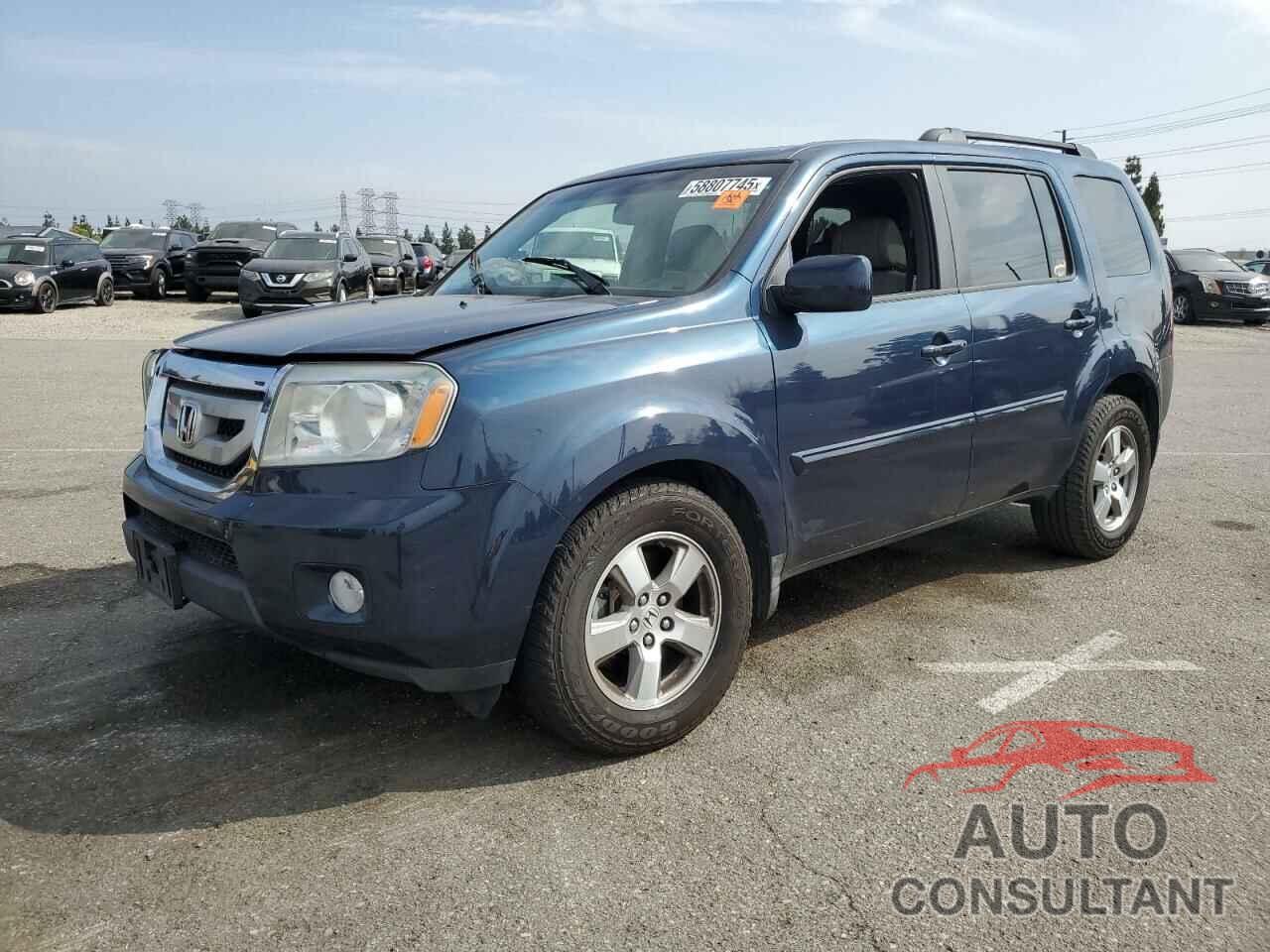 HONDA PILOT 2009 - 5FNYF38599B018742