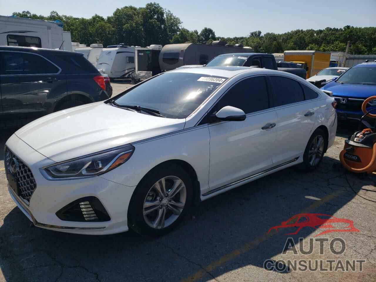 HYUNDAI SONATA 2019 - 5NPE34AF6KH808592