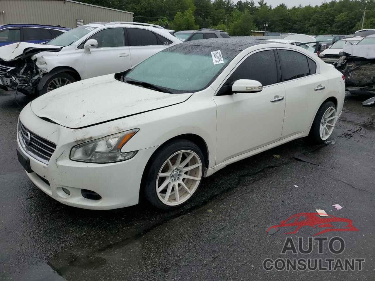 NISSAN MAXIMA 2010 - 1N4AA5AP7AC803341