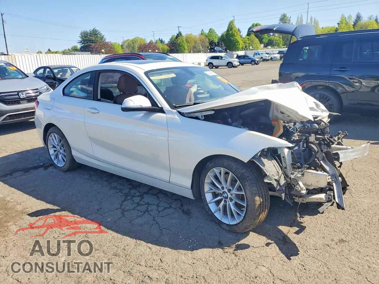 BMW 2 SERIES 2014 - WBA1F5C52EV255411
