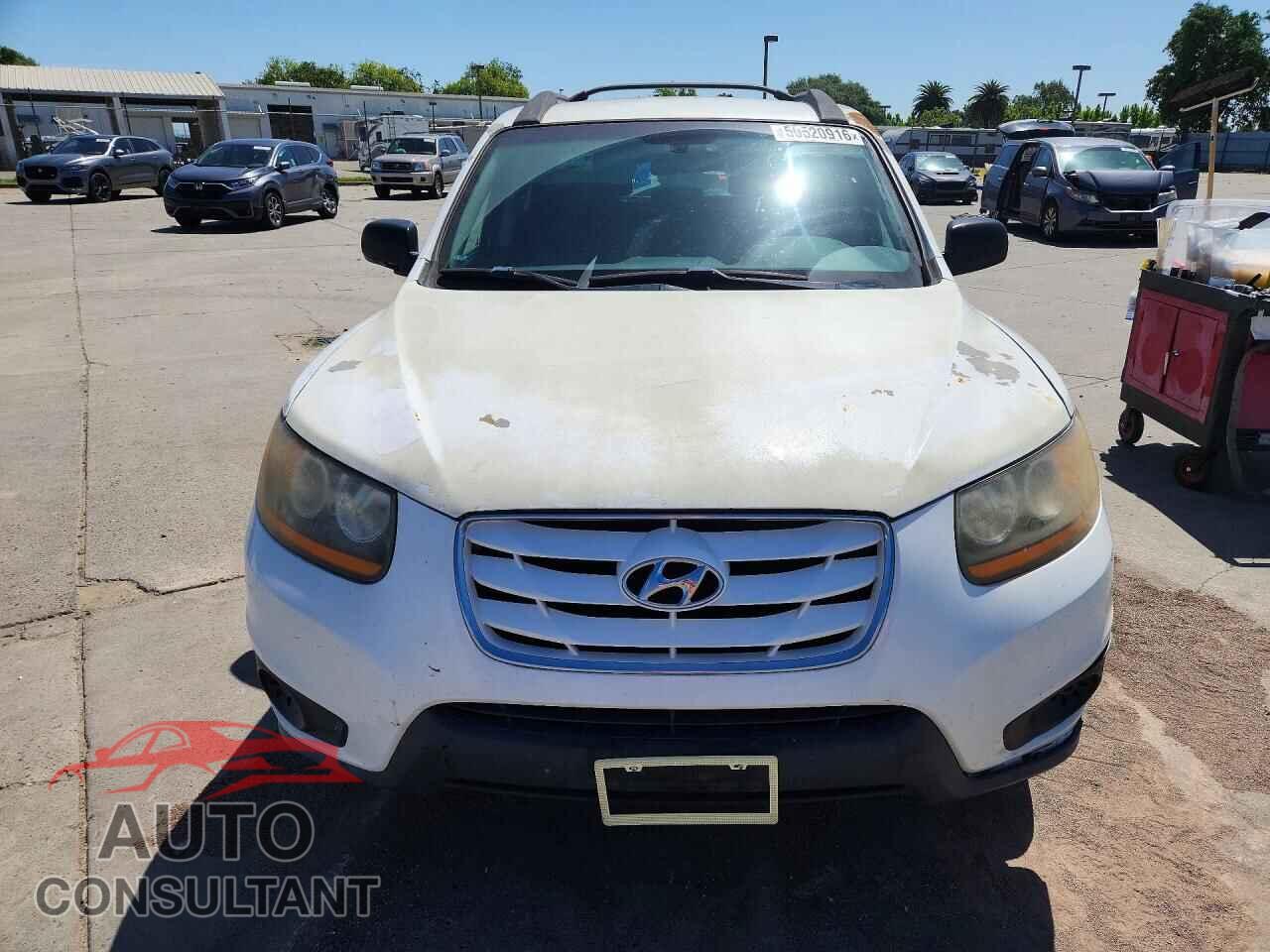 HYUNDAI SANTA FE 2010 - 5NMSGDAB4AH354813