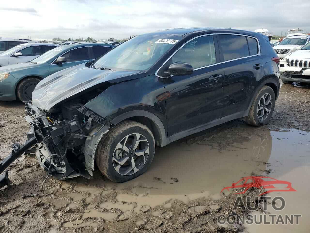 KIA SPORTAGE 2022 - KNDPM3AC1N7977899