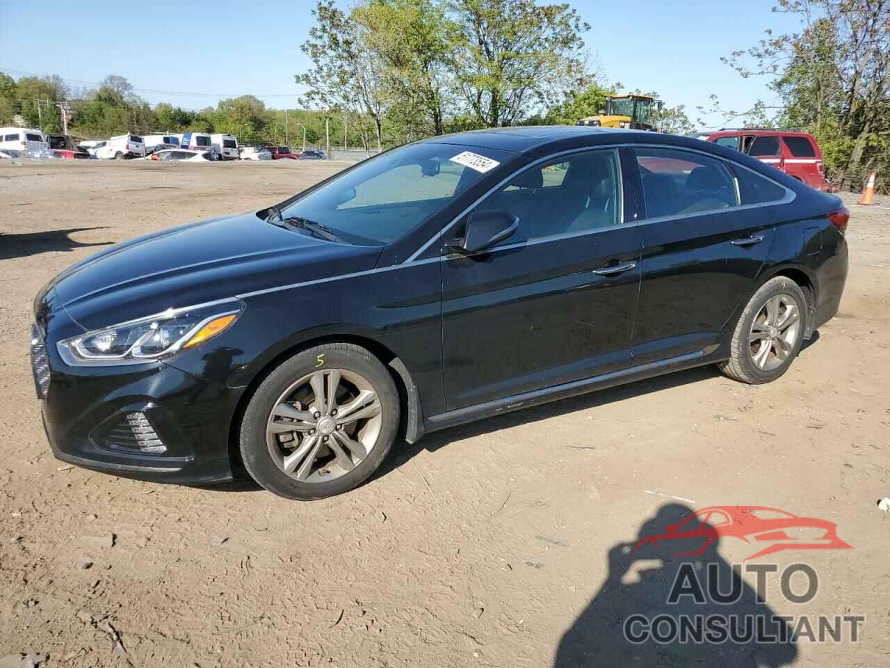 HYUNDAI SONATA 2019 - 5NPE34AF7KH768667