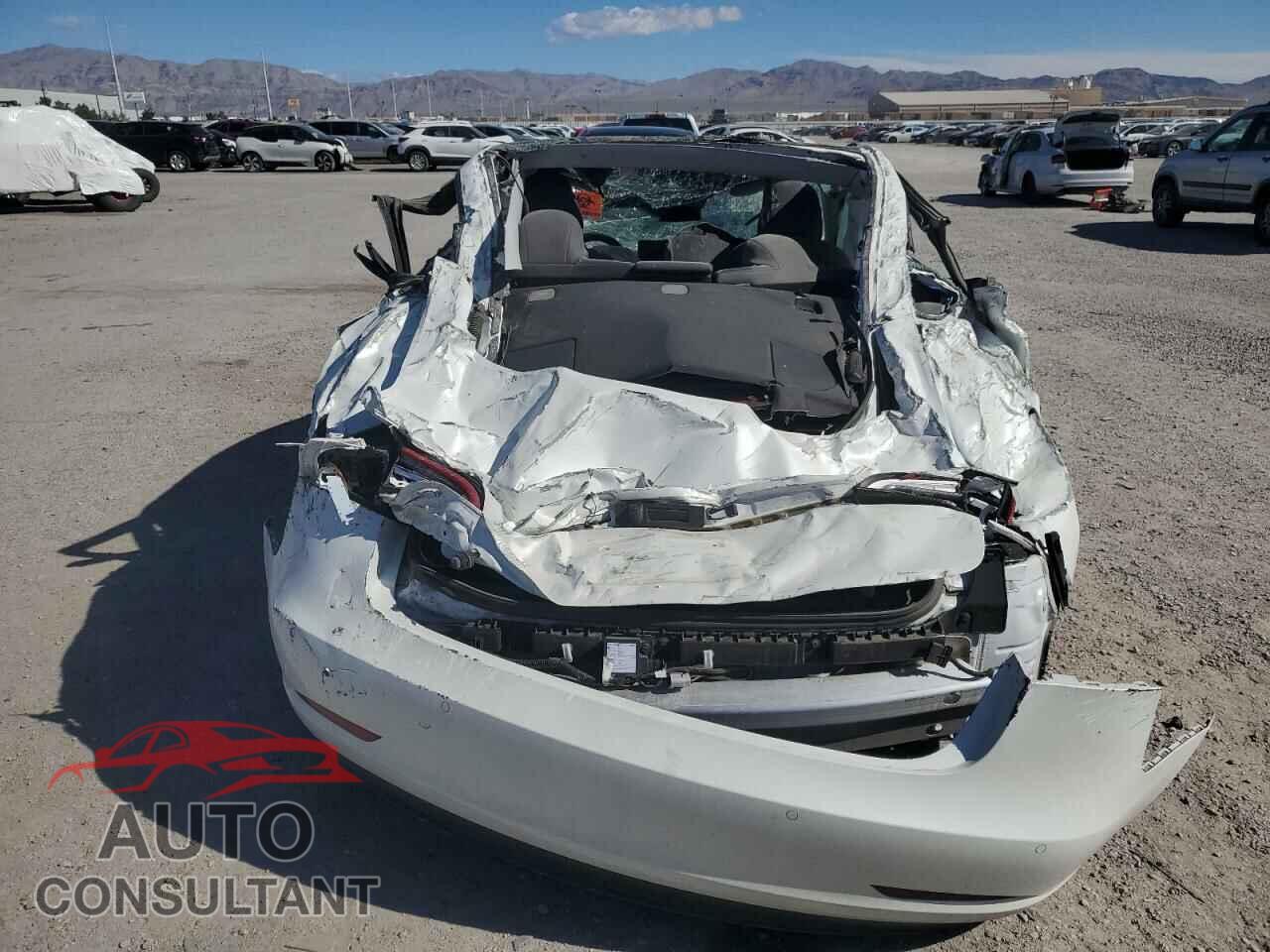 TESLA MODEL 3 2021 - 5YJ3E1EA5MF031211