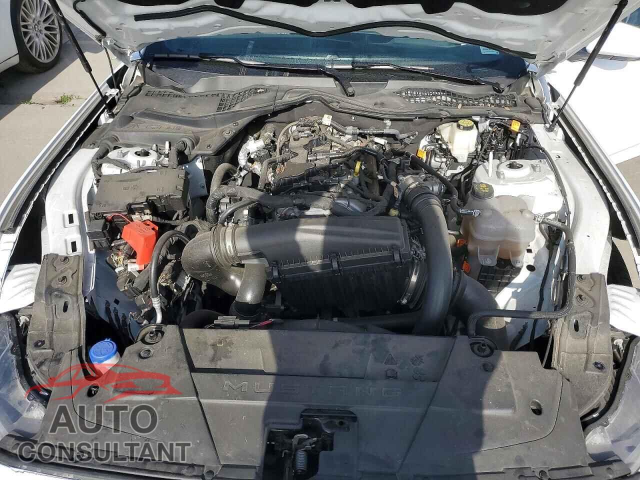 FORD MUSTANG 2024 - 1FA6P8TH1R5140800