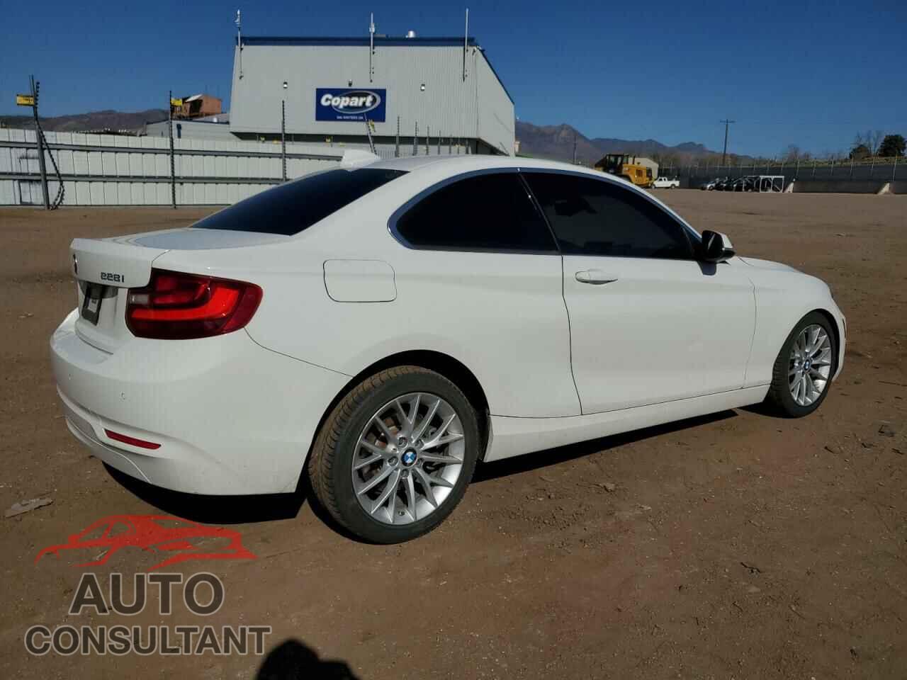 BMW 2 SERIES 2015 - WBA1F7C59FV367412