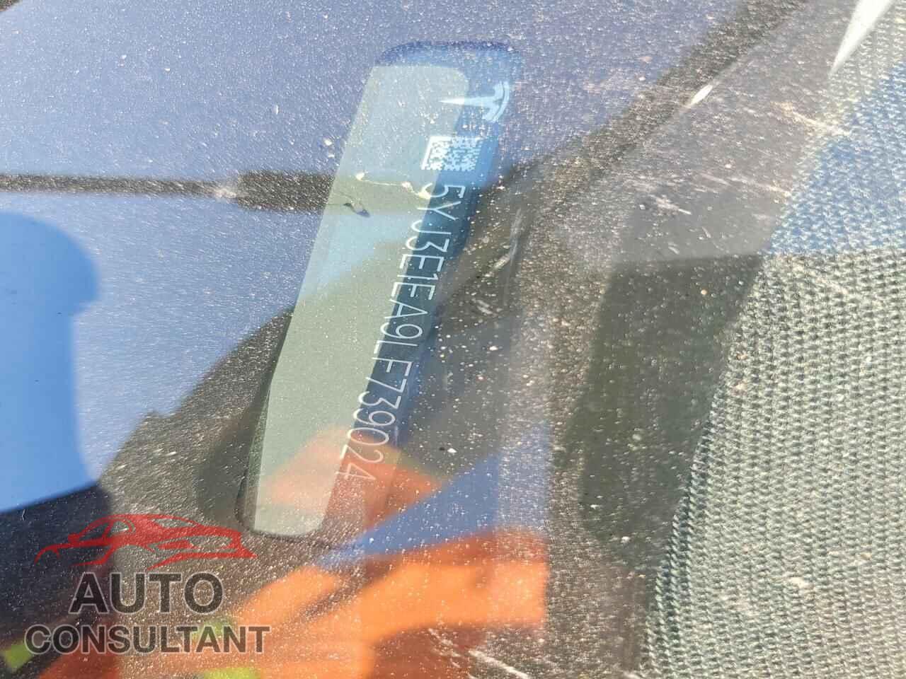TESLA MODEL 3 2020 - 5YJ3E1EA9LF739024