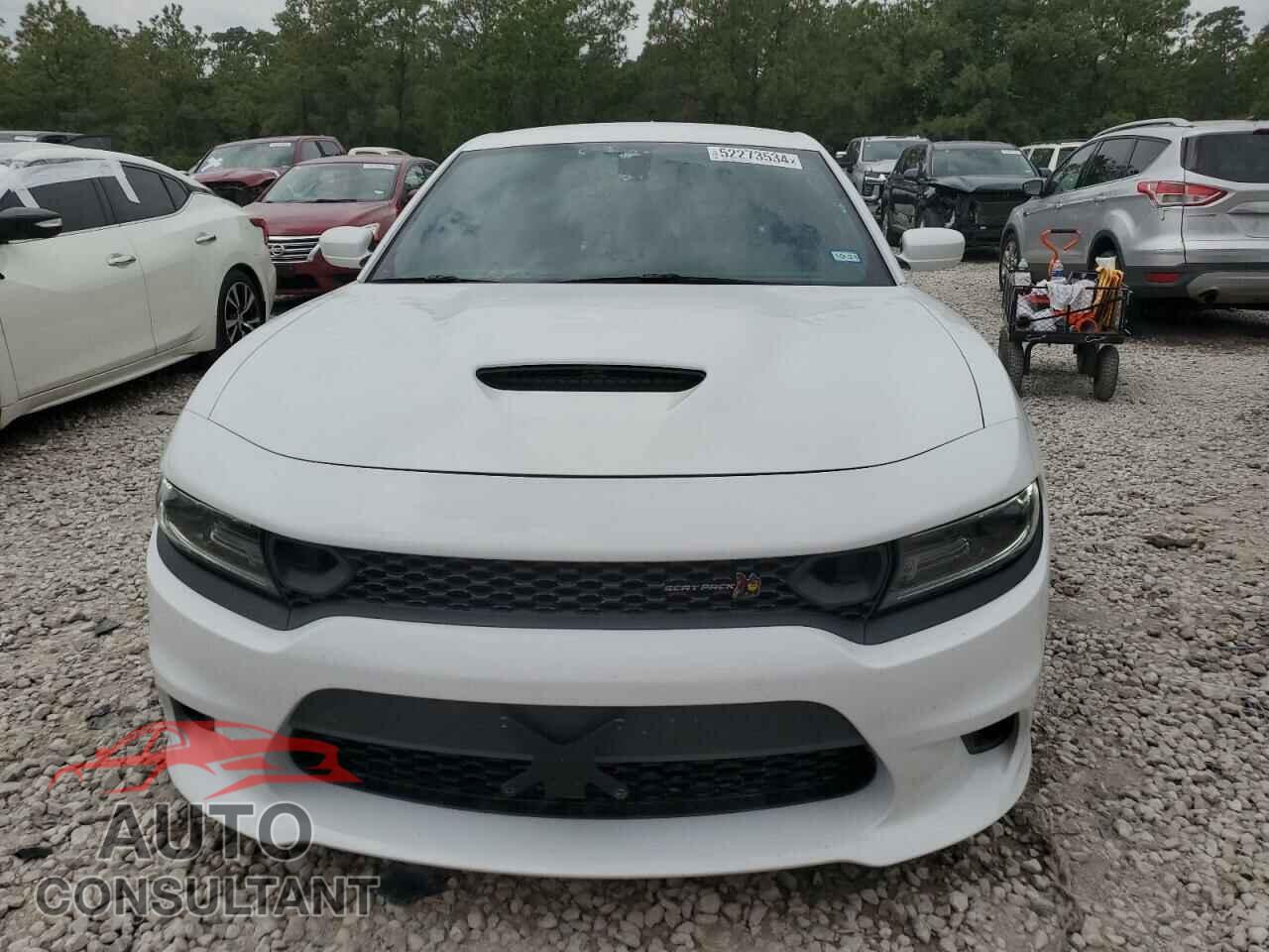 DODGE CHARGER 2020 - 2C3CDXGJ2LH207910