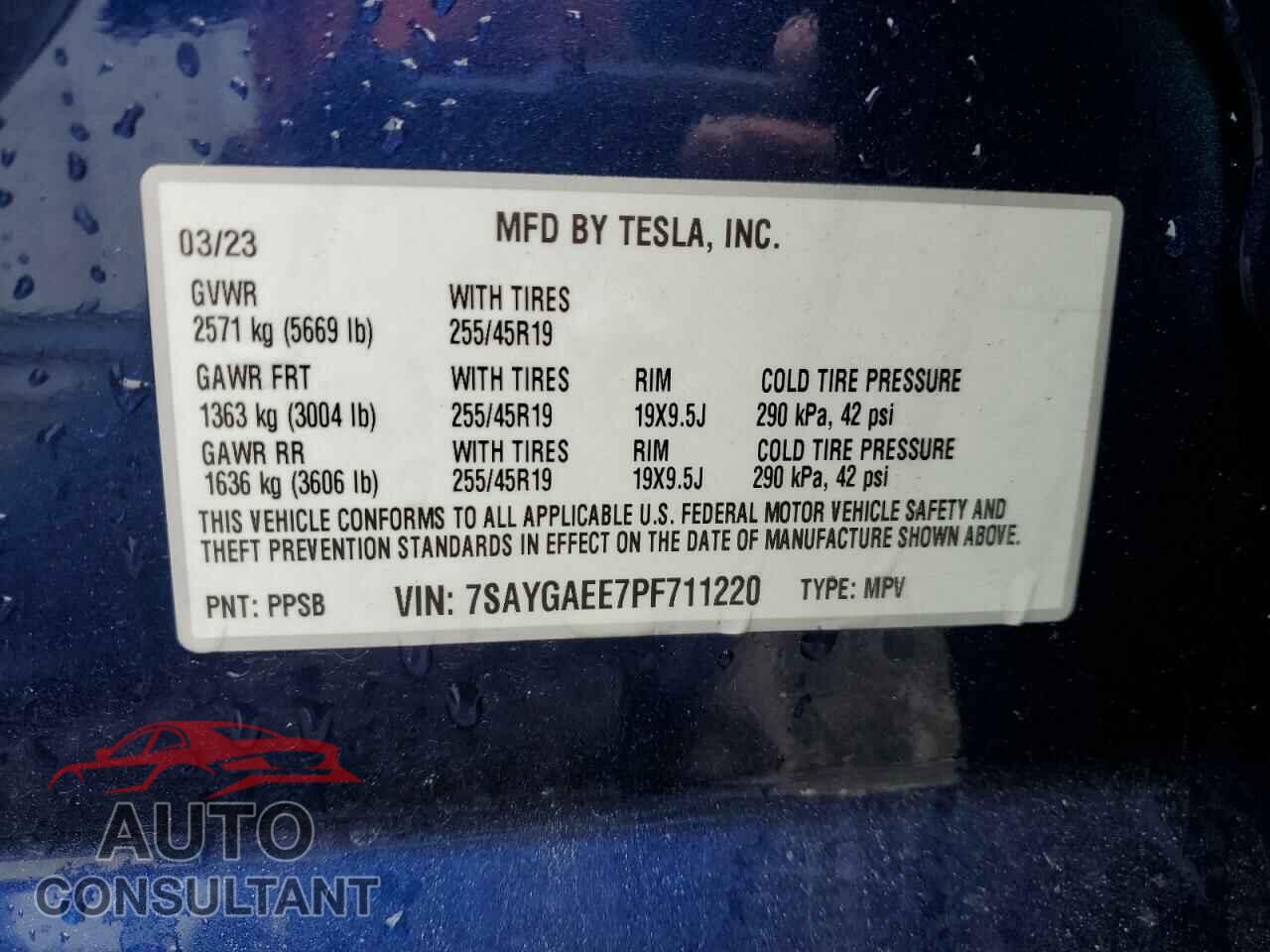 TESLA MODEL Y 2023 - 7SAYGAEE7PF711220