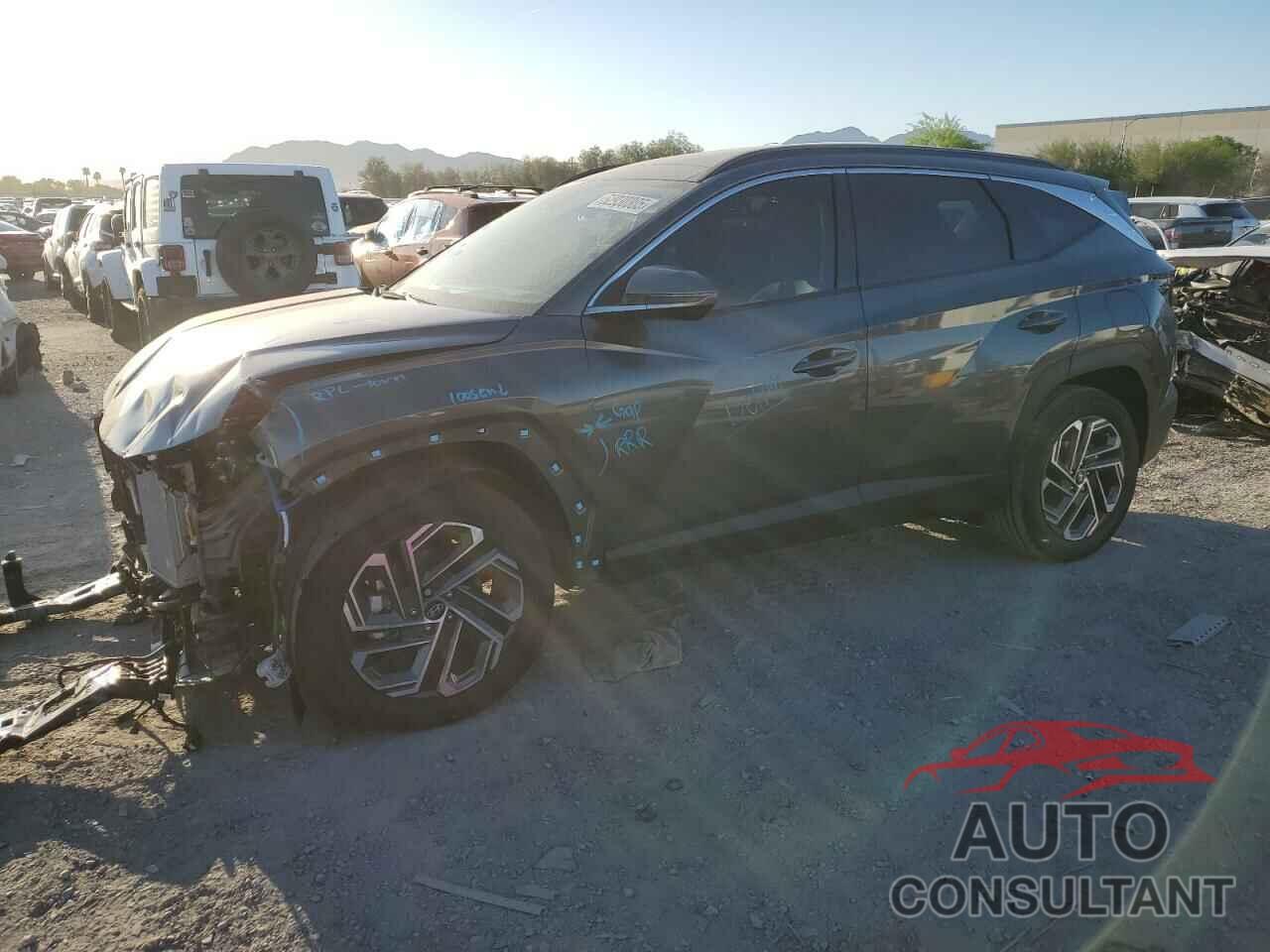 HYUNDAI TUCSON 2025 - KM8JEDD14SU275376