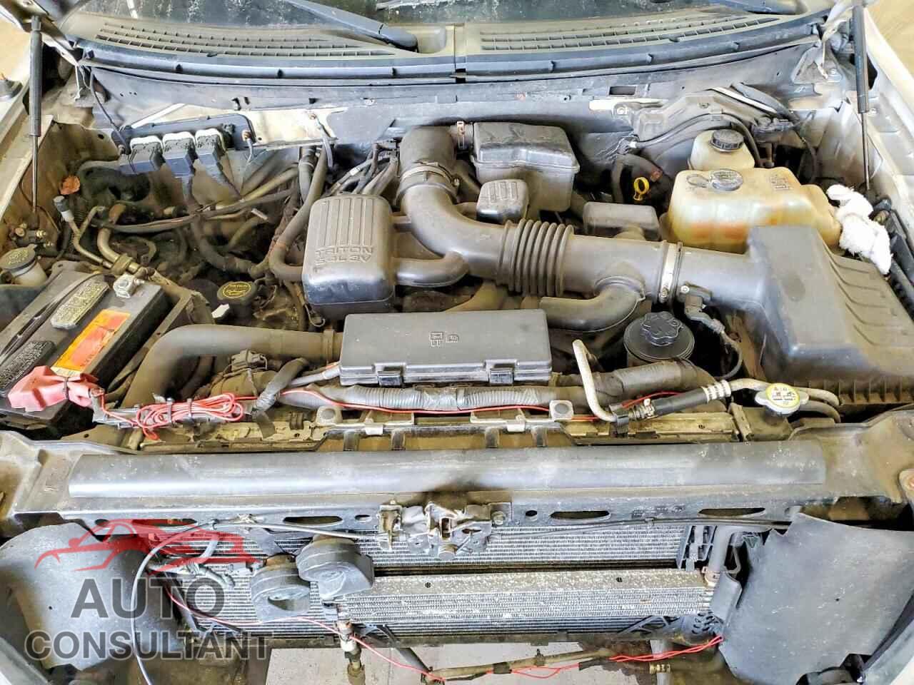 FORD F150 2010 - 1FTFW1EV7AKE40869