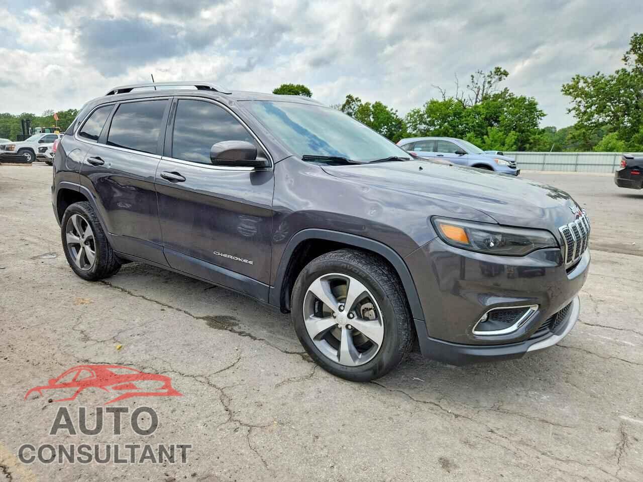 JEEP CHEROKEE 2019 - 1C4PJLDB4KD487952