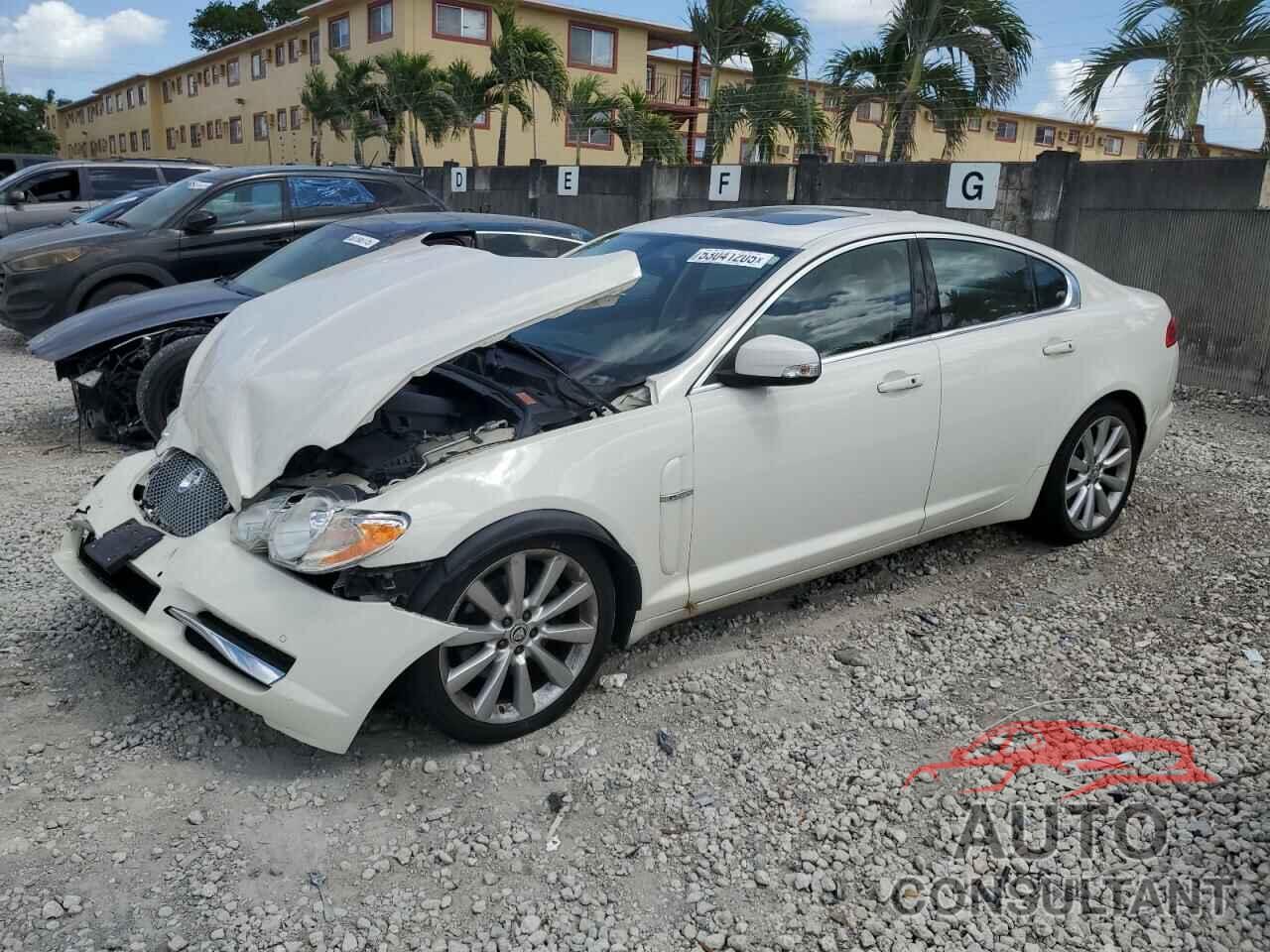 JAGUAR XF 2009 - SAJXA06B79HR44382