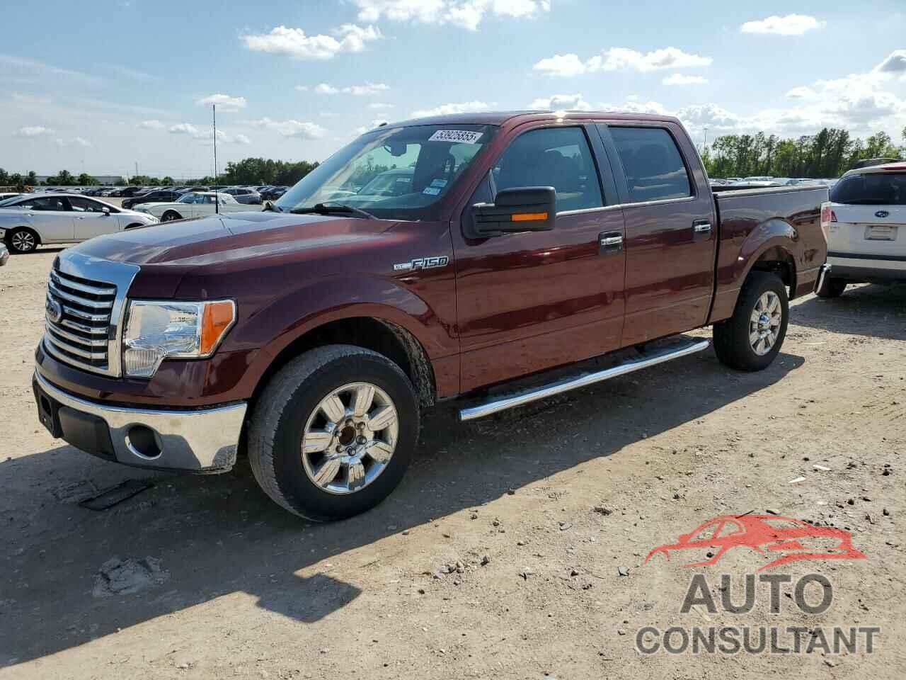 FORD F150 2010 - 1FTEW1C87AFD03660