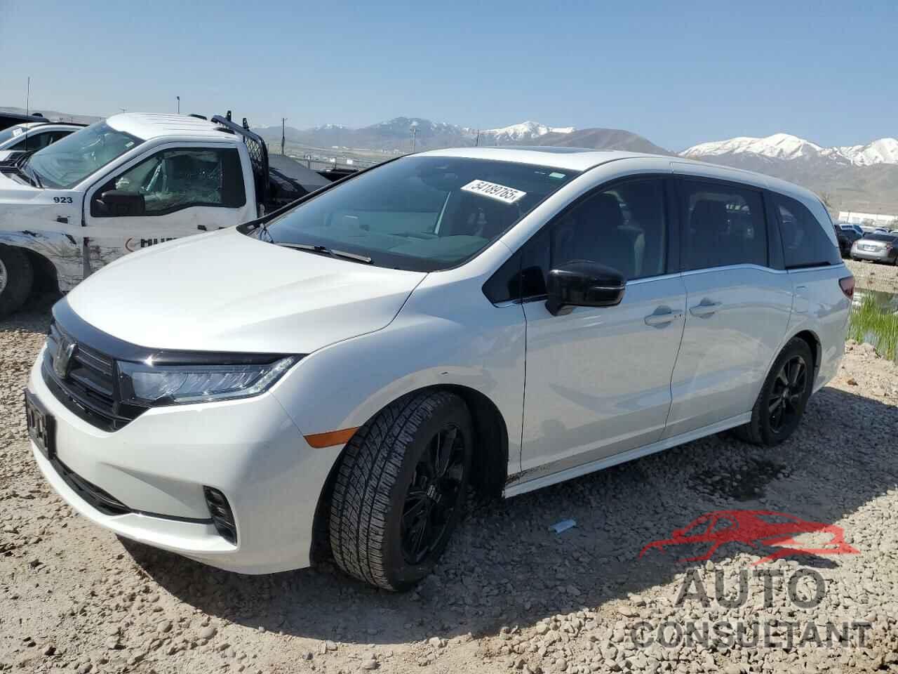 HONDA ODYSSEY SP 2023 - 5FNRL6H74PB001022