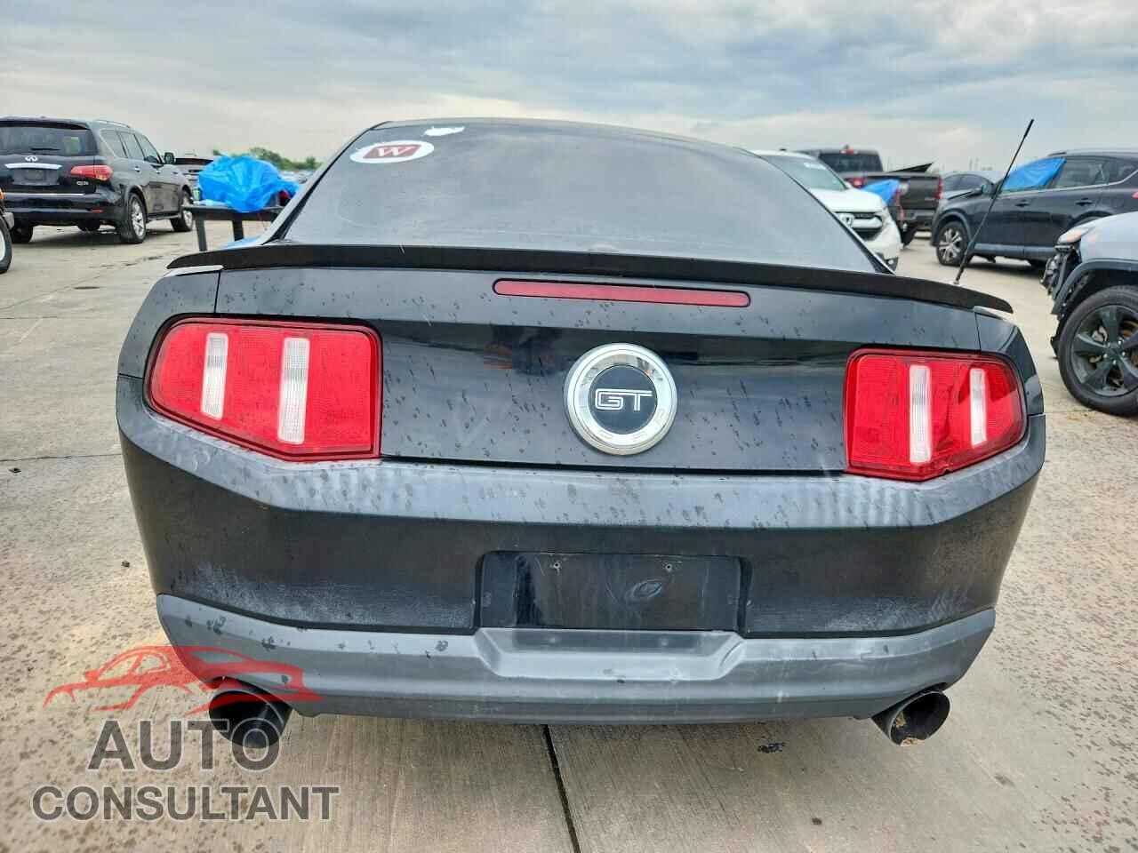 FORD MUSTANG 2010 - 1ZVBP8CH8A5141436