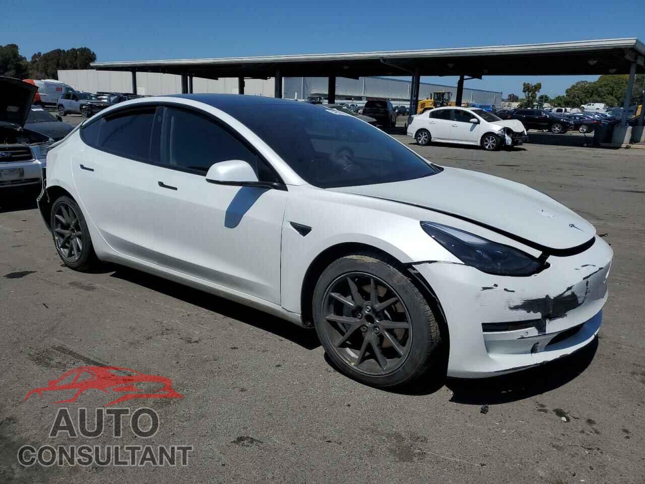TESLA MODEL 3 2021 - 5YJ3E1EA2MF873875