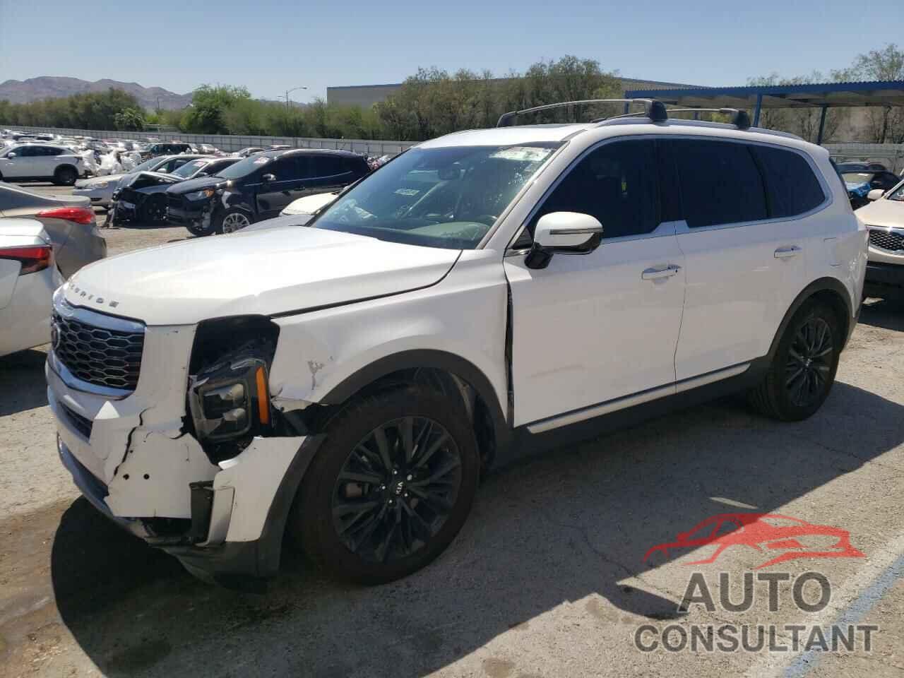 KIA TELLURIDE 2021 - 5XYP54HC3MG145118