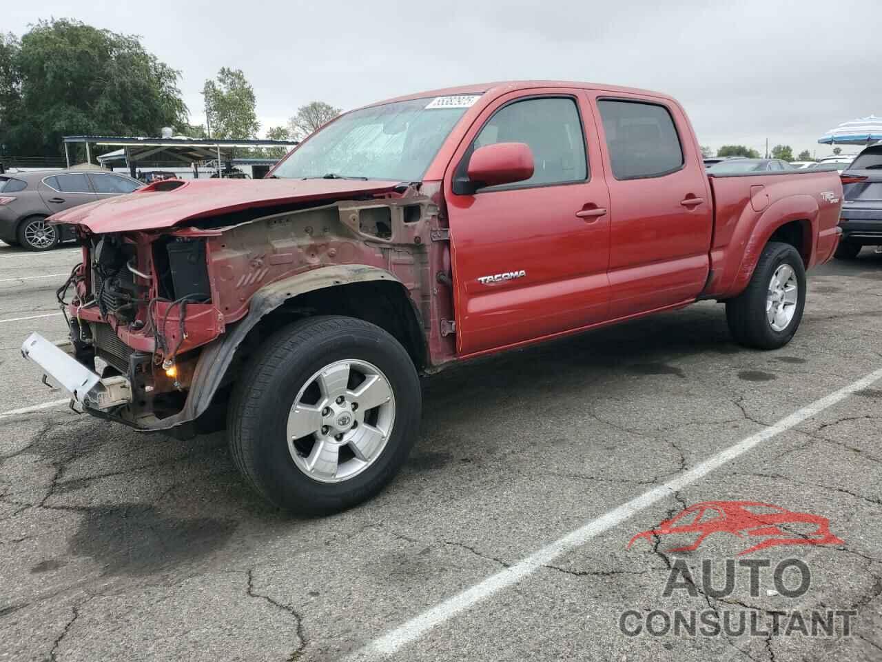 TOYOTA TACOMA 2009 - 3TMKU72N09M021195