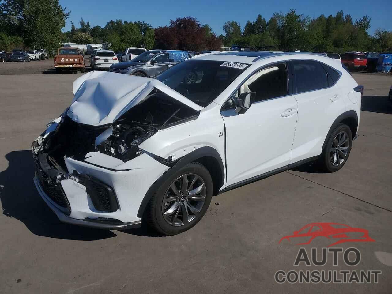 LEXUS NX 2019 - JTJYARBZ1K2133211
