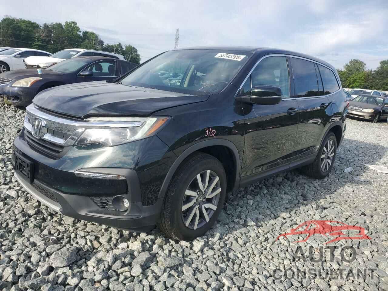 HONDA PILOT 2019 - 5FNYF5H53KB043959