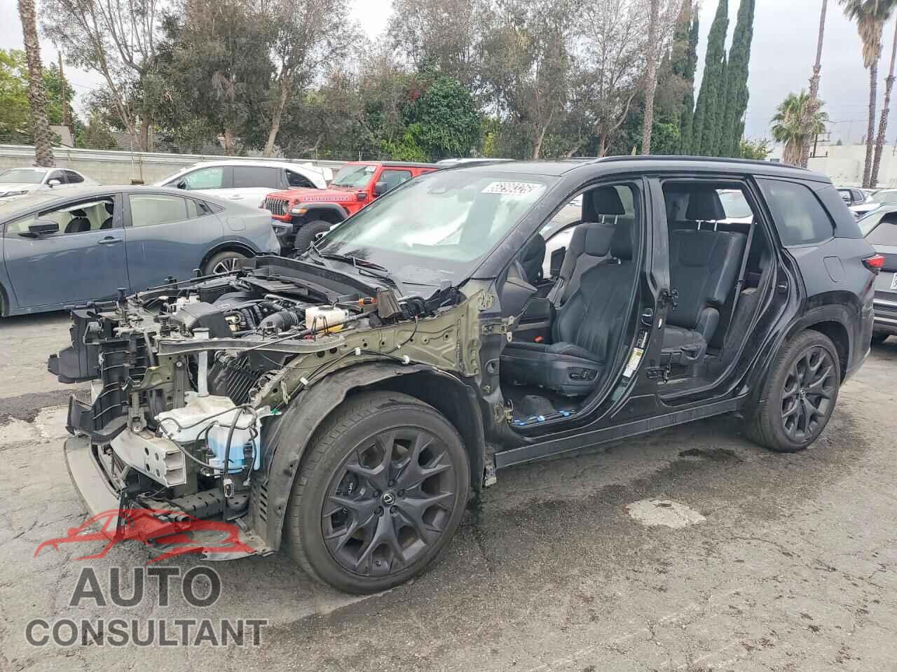 LEXUS UNKNOWN 2024 - 5TDABAB69RS004015