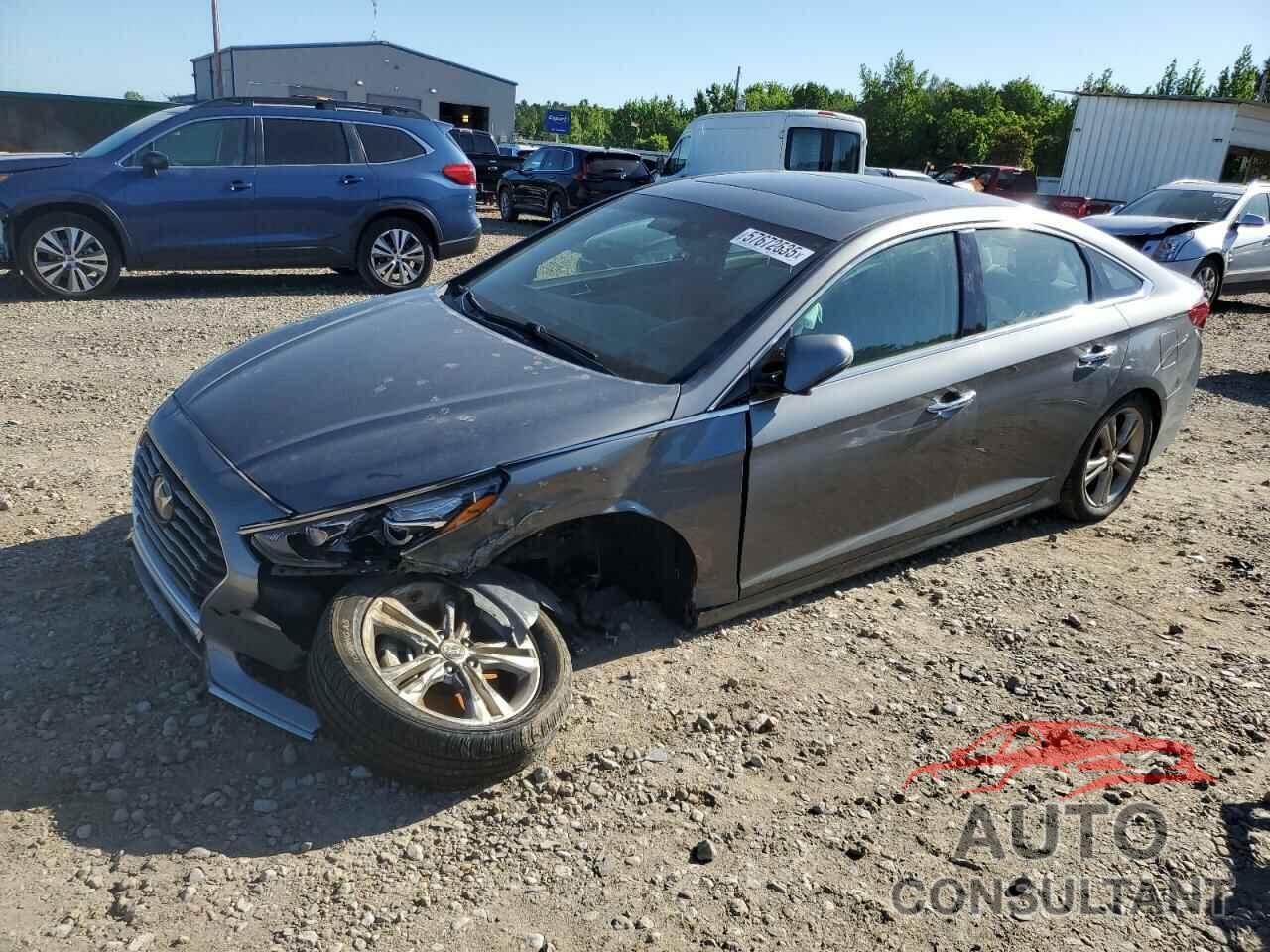 HYUNDAI SONATA 2018 - 5NPE34AF3JH647469