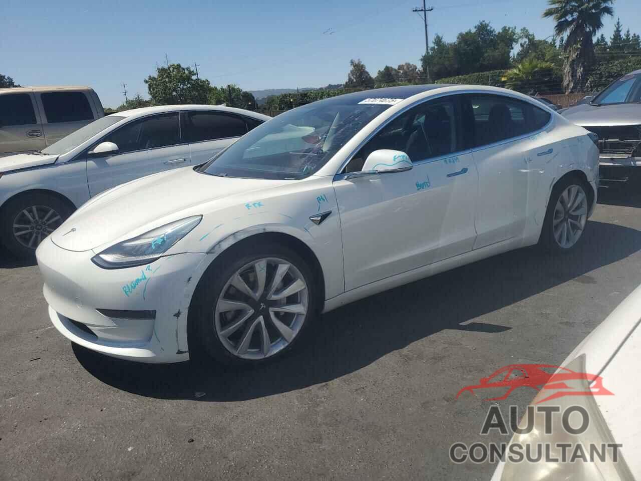 TESLA MODEL 3 2019 - 5YJ3E1EB1KF192046