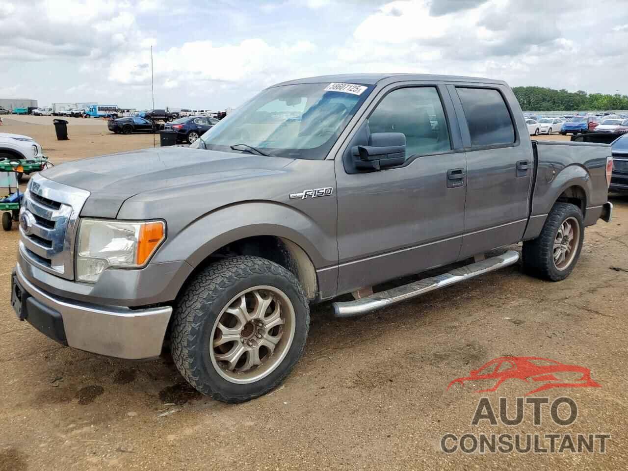 FORD F-150 2010 - 1FTEW1C83AFB54714