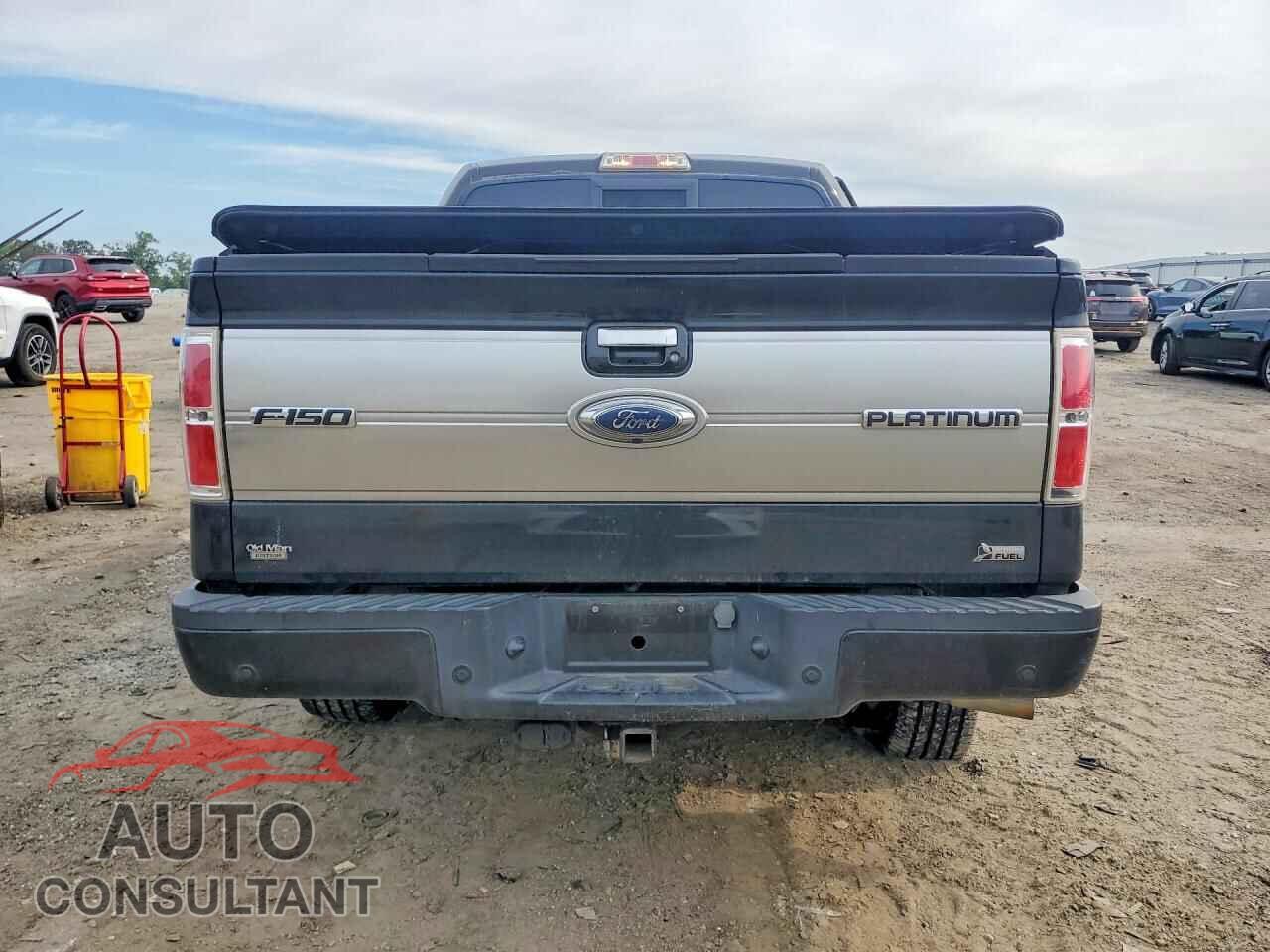 FORD F150 2010 - 1FTFW1EV8AFA92525