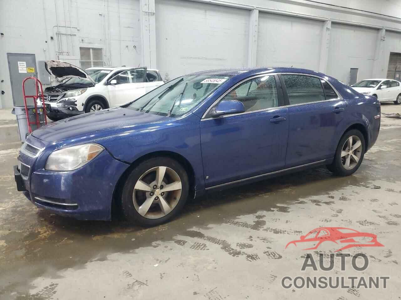 CHEVROLET MALIBU 2010 - 1G1ZF5EZ8AF111543
