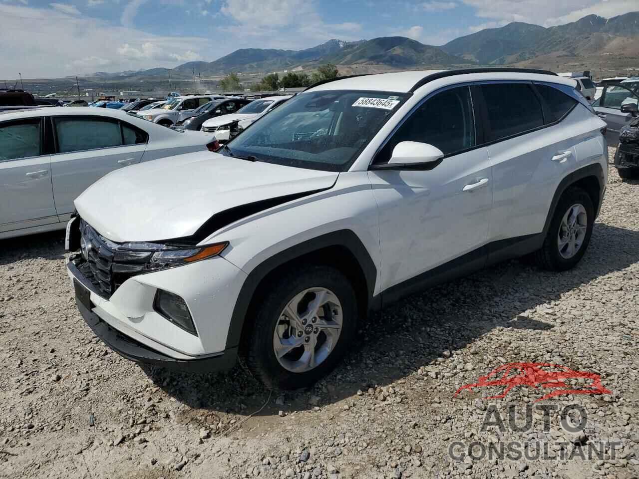HYUNDAI TUCSON 2024 - 5NMJBCDE9RH308416