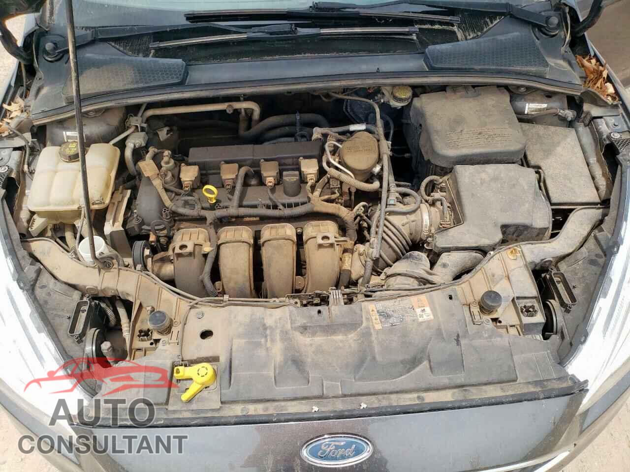 FORD FOCUS 2015 - 1FADP3F23FL205865