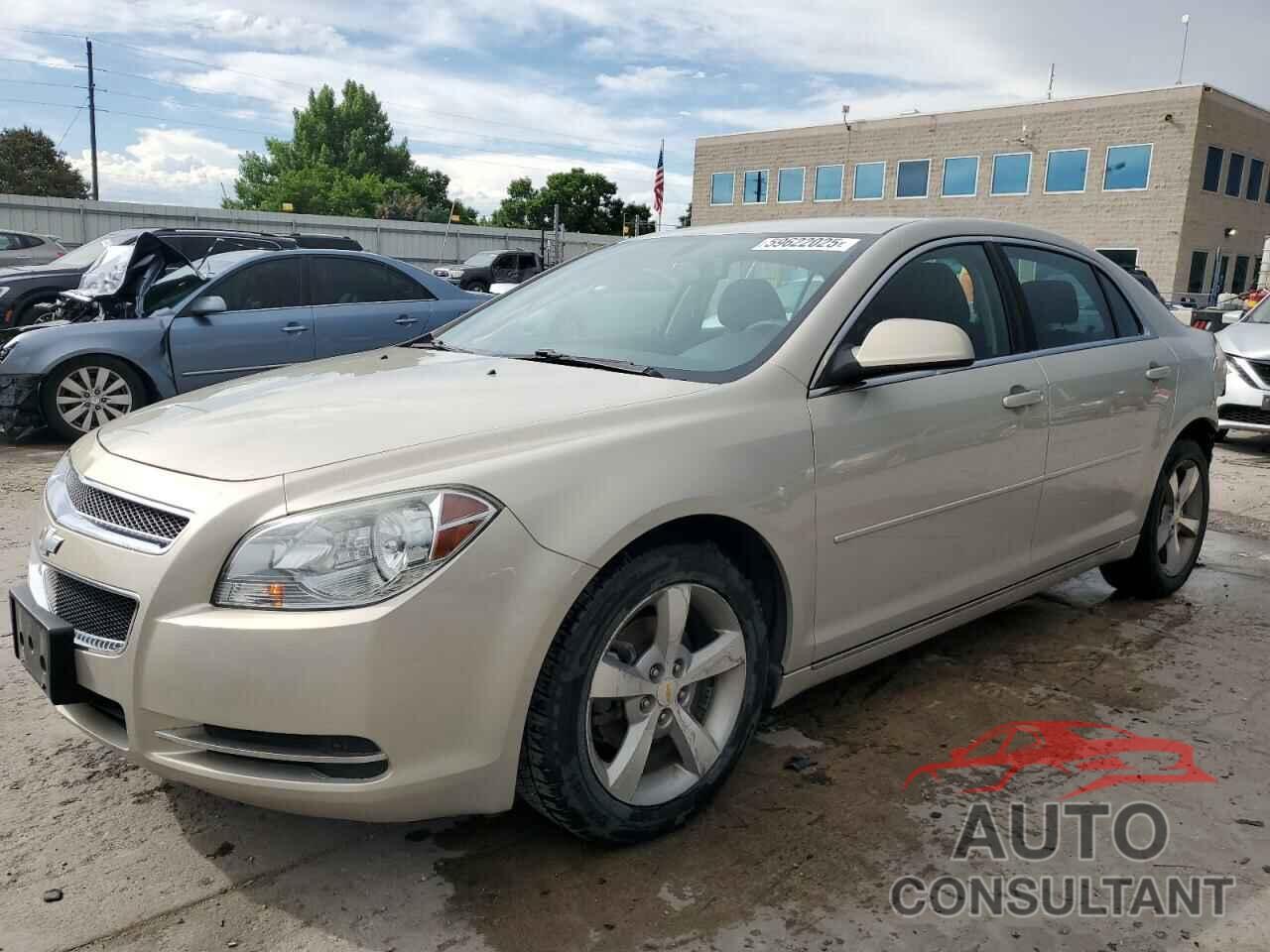 CHEVROLET MALIBU 2011 - 1G1ZC5EU0BF275478