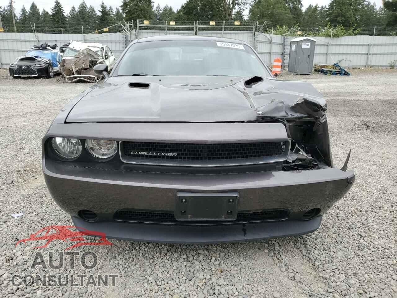 DODGE CHALLENGER 2014 - 2C3CDYAG2EH262136